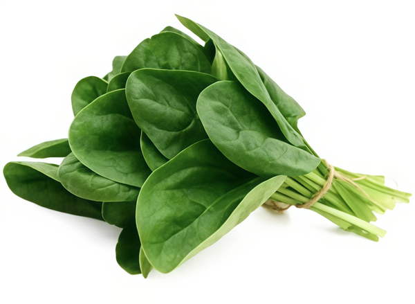 R-Alpha Lipoic Acid (R-ALA)