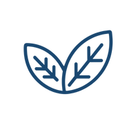 Researched Back Formula